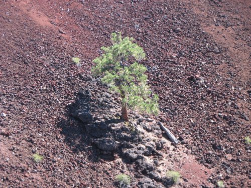 Inside the crater